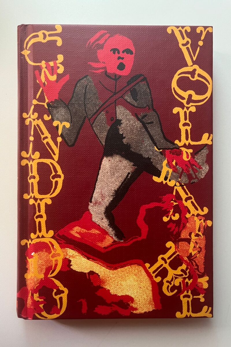 Livro Candido Voltaire